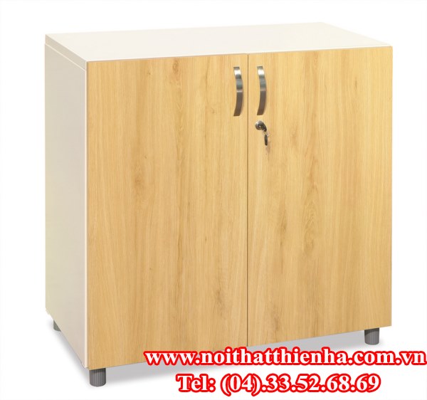 Tủ sắt cánh gỗ TSG02-2