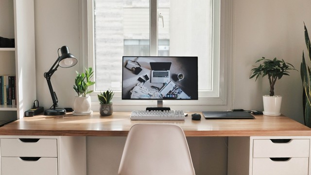 8 loại cây cảnh đặt bàn làm việc giúp tụ tài, tụ lộc