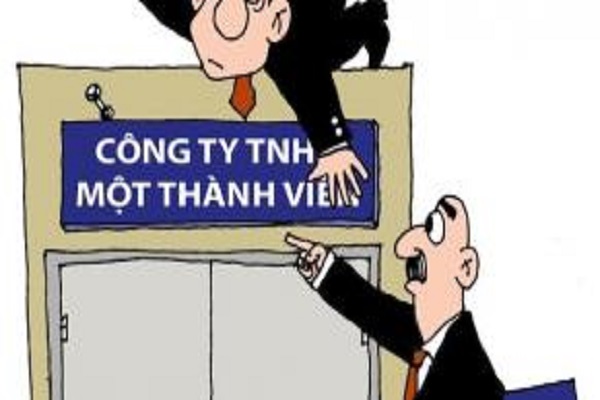 Công Ty TNHH MTV Là Gì? Các Đặc Điểm Và Quy Định Của Loại Hình Này