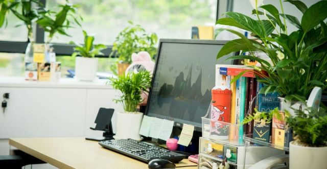 Chỗ ngồi làm việc phong thủy​