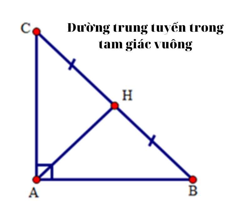 đường trung tuyến là gì