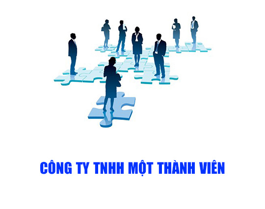 công ty tnhh mtv